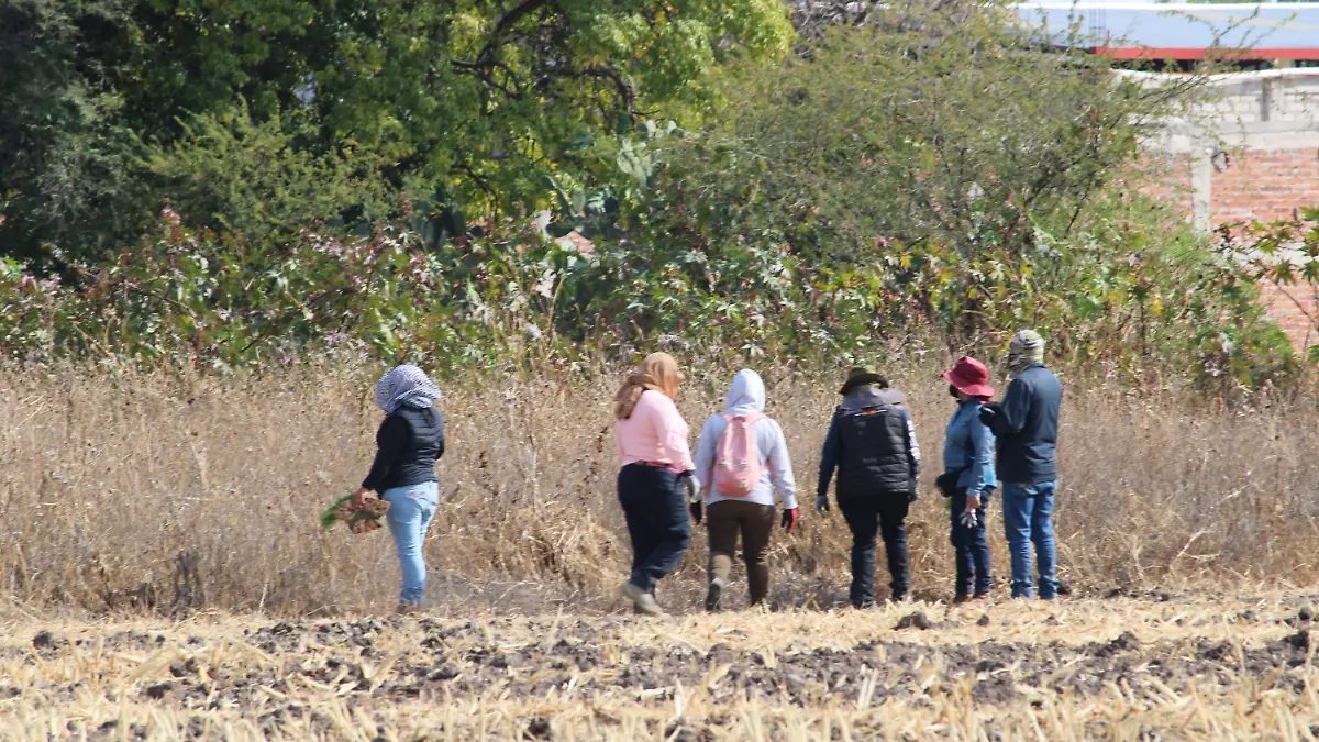 912860_Juventino Rosas Fosa Clandestina-1_impreso